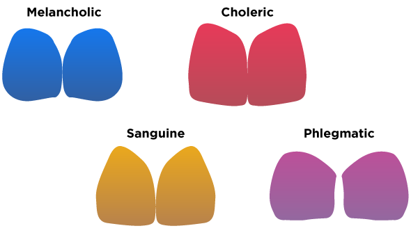 Four pictures of the four basic tooth shapes and the temperament they align with